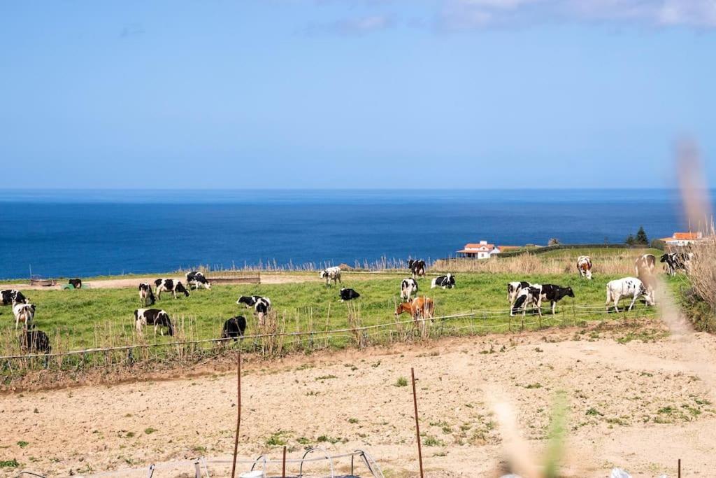 Country House In Azores - S. Miguel Ribeira Grande Ngoại thất bức ảnh