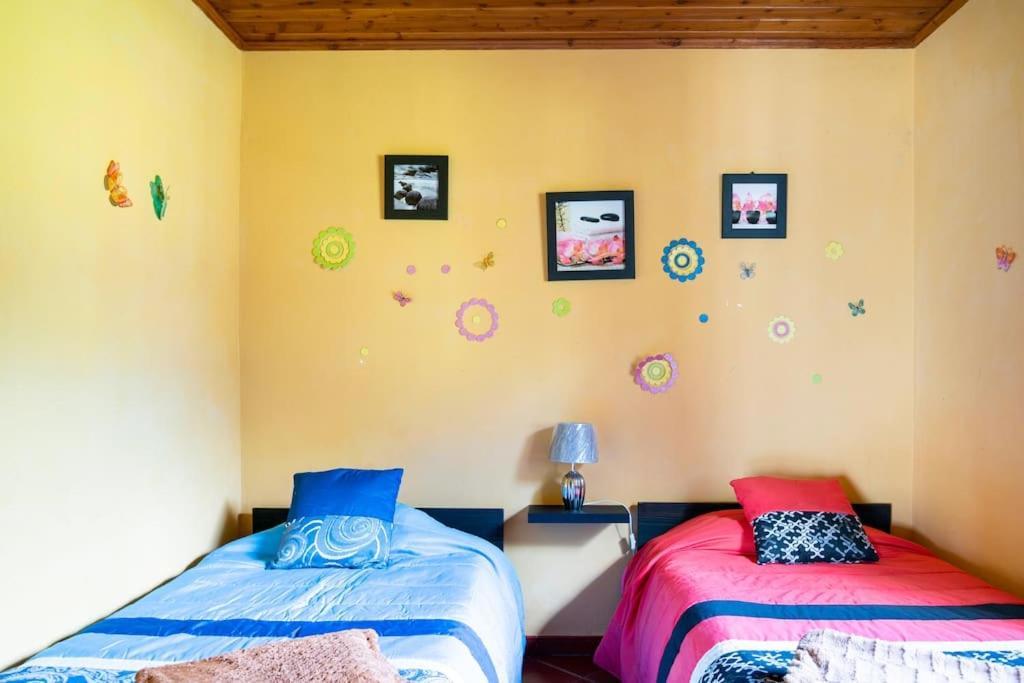 Country House In Azores - S. Miguel Ribeira Grande Ngoại thất bức ảnh
